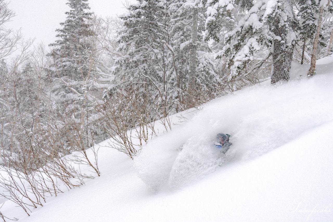 大雪山層雲峡・黒岳ロープウェイスキー場｜極上のふわっふわ粉雪が、たっぷり♪厳冬期を迎えた黒岳のパウダーは、レベルが違います☆